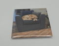 Custom Photo Magnets