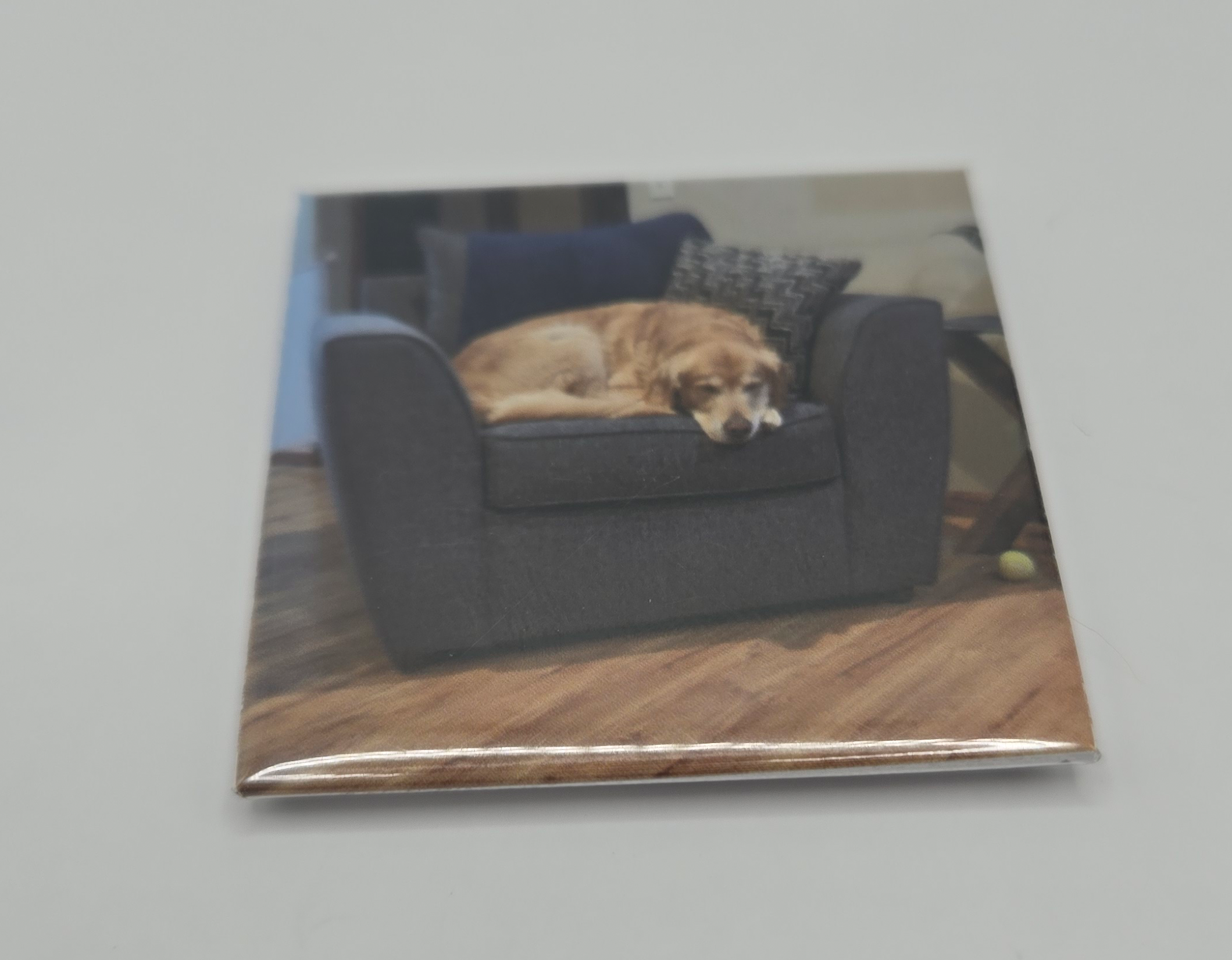 Custom Photo Magnets